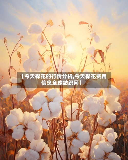 【今天棉花的行情分析,今天棉花费用信息全球纺织网】