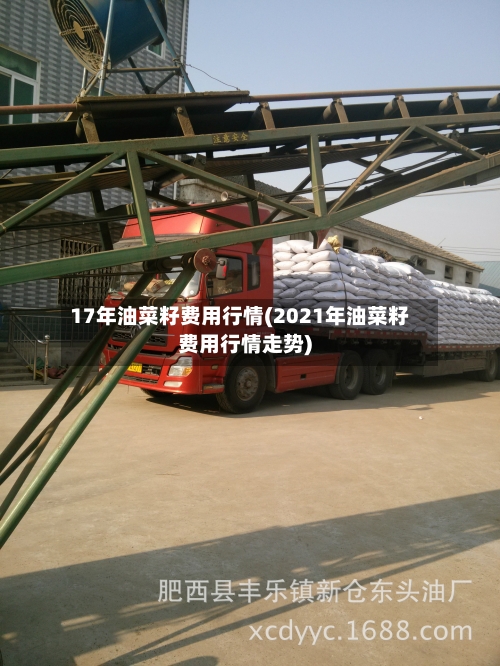 17年油菜籽费用行情(2021年油菜籽费用行情走势)-第2张图片