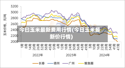今曰玉米最新费用行情(今日玉米最新价行情)-第2张图片