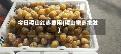 今日稷山红枣费用(稷山蜜枣批发)