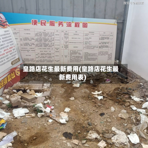 皇路店花生最新费用(皇路店花生最新费用表)-第3张图片