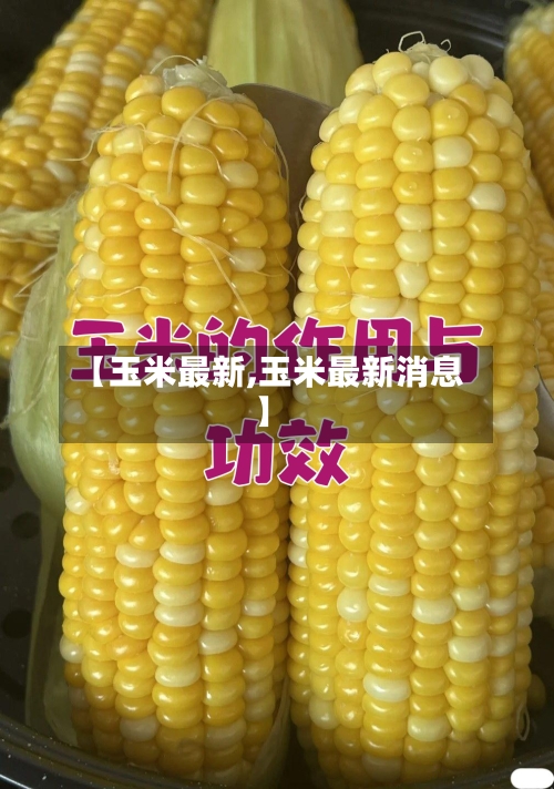 【玉米最新,玉米最新消息】-第2张图片
