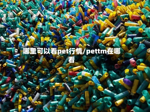 哪里可以看pet行情/pettm在哪看-第3张图片