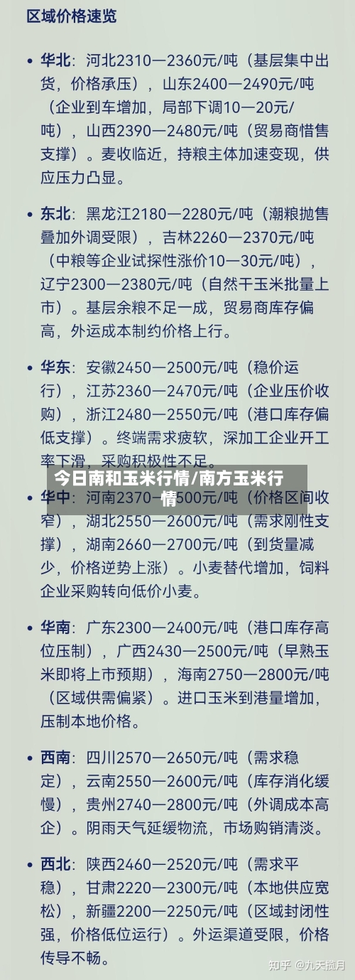 今日南和玉米行情/南方玉米行情