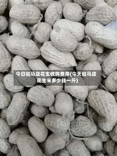 今日驻马店花生收购费用(今天驻马店花生米多少钱一斤)-第2张图片