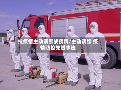 抗疫情主动请缨战疫情/主动请缨 疫情防控先进事迹-第2张图片