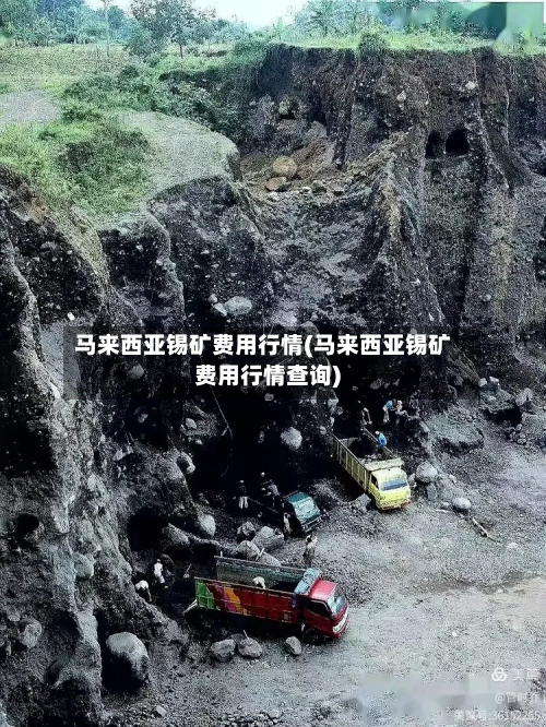 马来西亚锡矿费用行情(马来西亚锡矿费用行情查询)-第3张图片