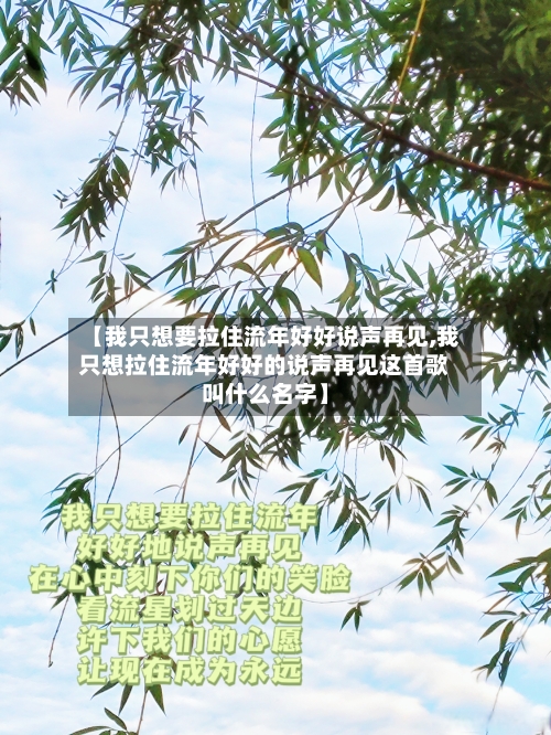 【我只想要拉住流年好好说声再见,我只想拉住流年好好的说声再见这首歌叫什么名字】-第2张图片