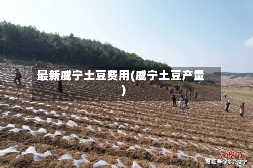 最新威宁土豆费用(威宁土豆产量)