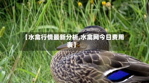 【水禽行情最新分析,水禽网今日费用表】