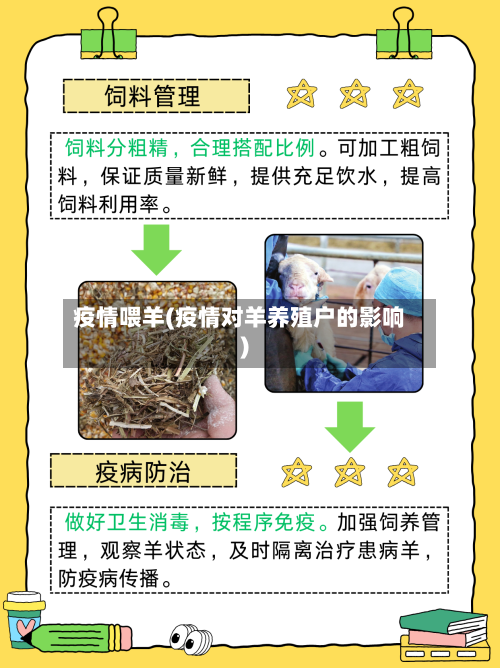 疫情喂羊(疫情对羊养殖户的影响)-第2张图片