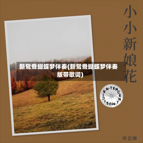新鸳鸯蝴蝶梦伴奏(新鸳鸯蝴蝶梦伴奏版带歌词)-第1张图片