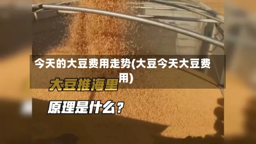 今天的大豆费用走势(大豆今天大豆费用)-第2张图片