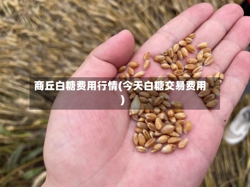 商丘白糖费用行情(今天白糖交易费用)-第3张图片