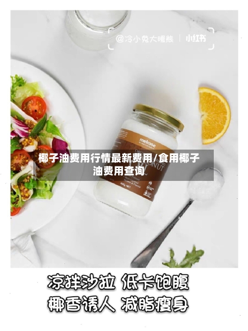椰子油费用行情最新费用/食用椰子油费用查询-第2张图片