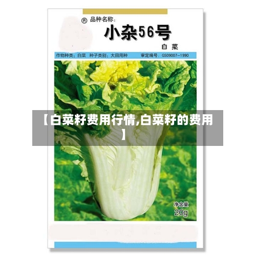 【白菜籽费用行情,白菜籽的费用】-第1张图片