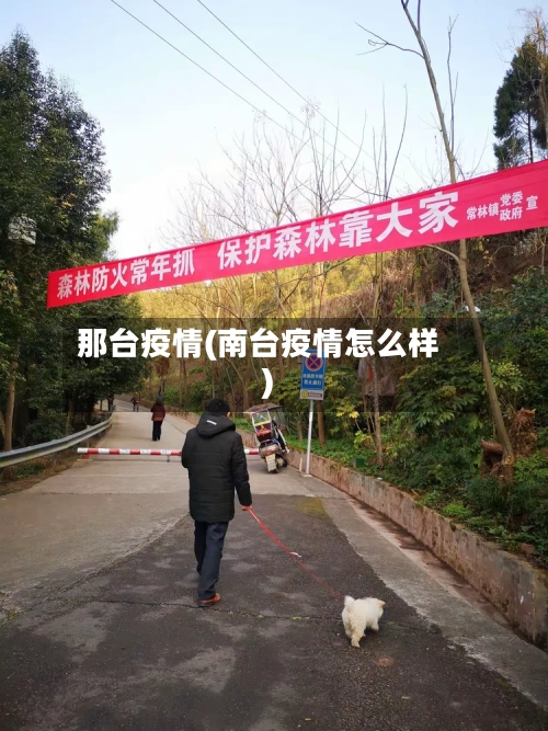 那台疫情(南台疫情怎么样)-第2张图片