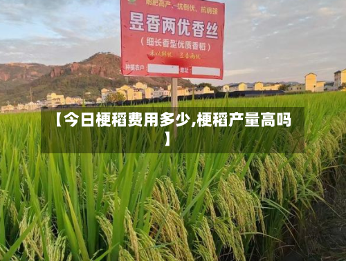 【今日梗稻费用多少,梗稻产量高吗】-第1张图片