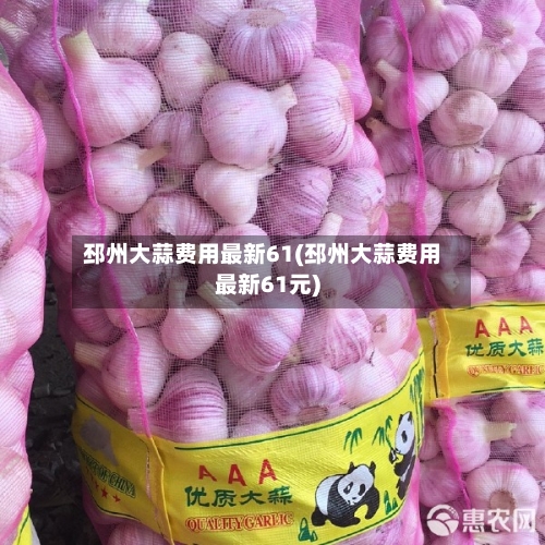 邳州大蒜费用最新61(邳州大蒜费用最新61元)-第1张图片