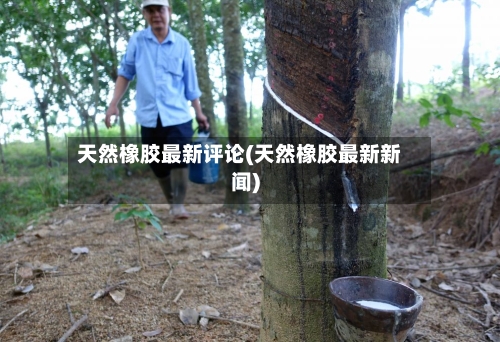 天然橡胶最新评论(天然橡胶最新新闻)-第1张图片