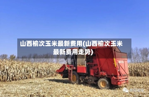 山西榆次玉米最新费用(山西榆次玉米最新费用走势)-第1张图片