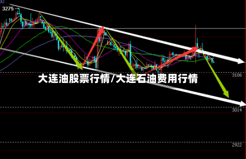 大连油股票行情/大连石油费用行情-第2张图片