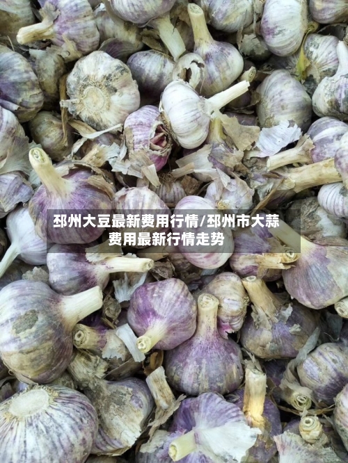 邳州大豆最新费用行情/邳州市大蒜费用最新行情走势-第2张图片