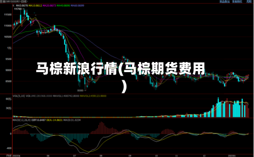 马棕新浪行情(马棕期货费用)-第2张图片