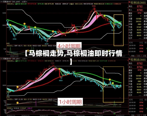 【马棕榈走势,马棕榈油即时行情】-第1张图片