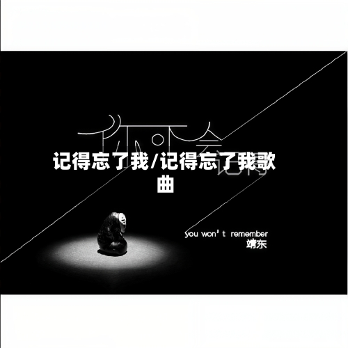 记得忘了我/记得忘了我歌曲-第2张图片