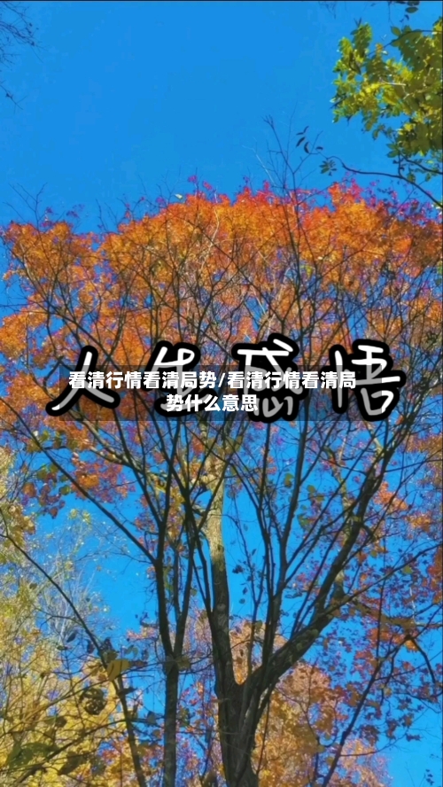 看清行情看清局势/看清行情看清局势什么意思-第3张图片