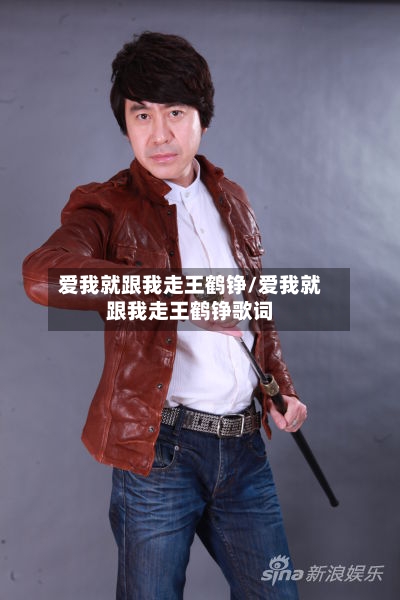 爱我就跟我走王鹤铮/爱我就跟我走王鹤铮歌词-第2张图片