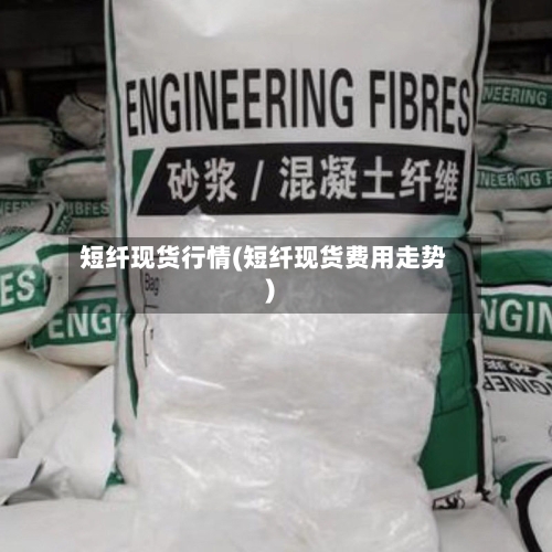 短纤现货行情(短纤现货费用走势)-第1张图片