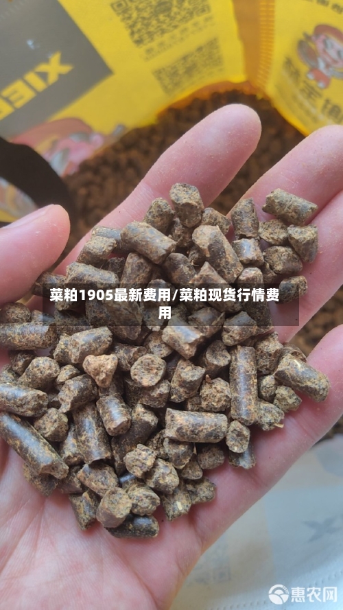 菜粕1905最新费用/菜粕现货行情费用-第1张图片
