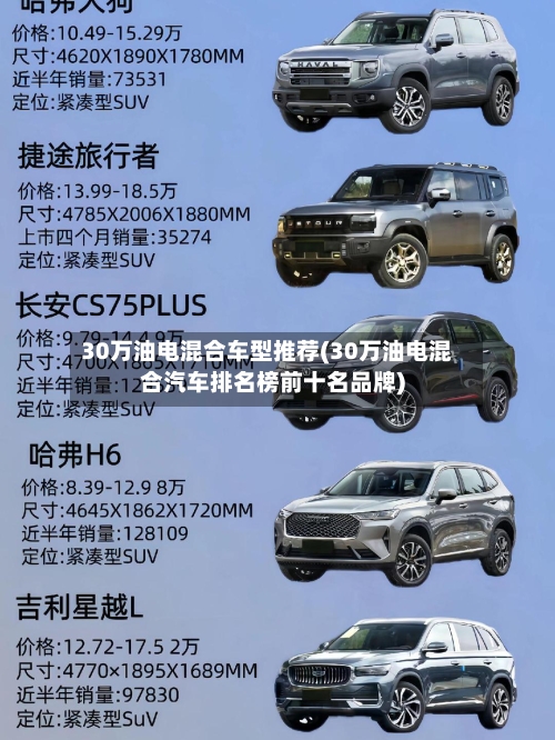 30万油电混合车型推荐(30万油电混合汽车排名榜前十名品牌)-第1张图片