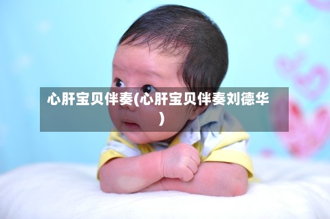 心肝宝贝伴奏(心肝宝贝伴奏刘德华)-第1张图片