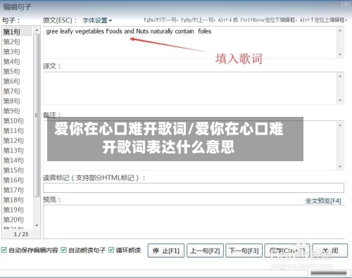 爱你在心口难开歌词/爱你在心口难开歌词表达什么意思-第1张图片