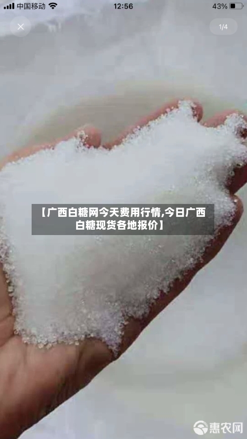 【广西白糖网今天费用行情,今日广西白糖现货各地报价】-第2张图片