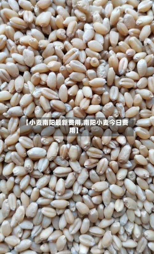 【小麦南阳最新费用,南阳小麦今日费用】-第2张图片