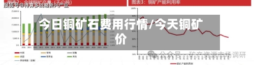 今日铜矿石费用行情/今天铜矿价-第2张图片