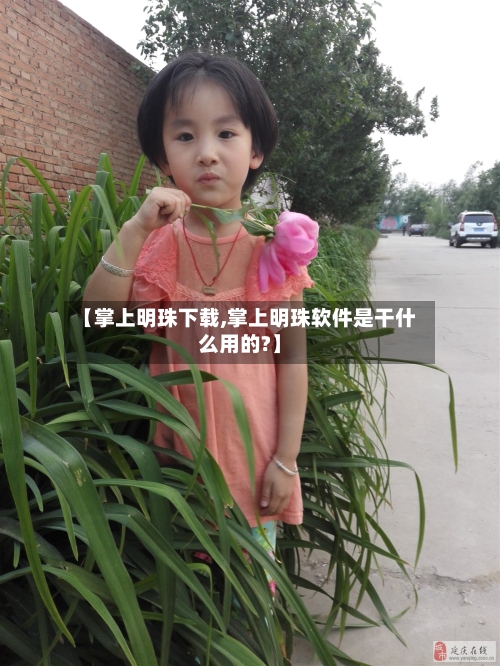 【掌上明珠下载,掌上明珠软件是干什么用的?】-第1张图片