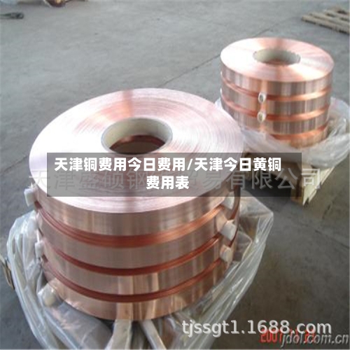 天津铜费用今日费用/天津今日黄铜费用表-第1张图片