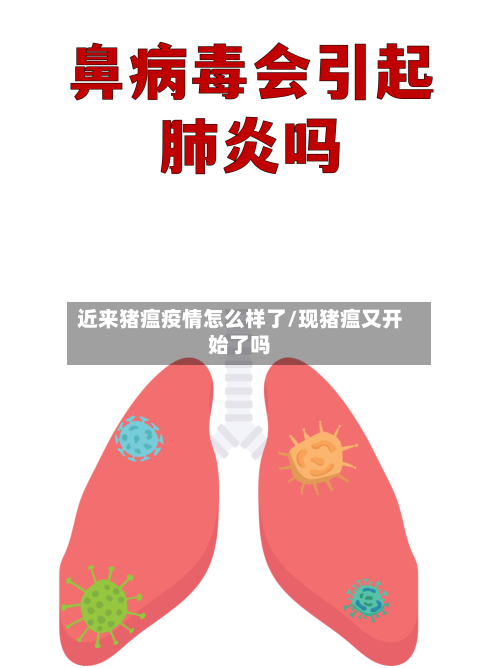 近来猪瘟疫情怎么样了/现猪瘟又开始了吗-第1张图片