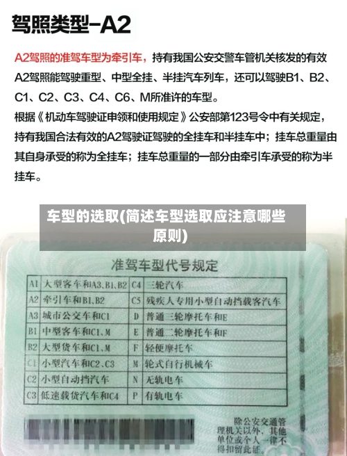车型的选取(简述车型选取应注意哪些原则)-第1张图片