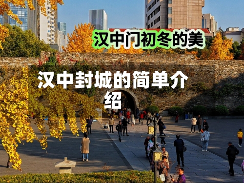 汉中封城的简单介绍-第1张图片