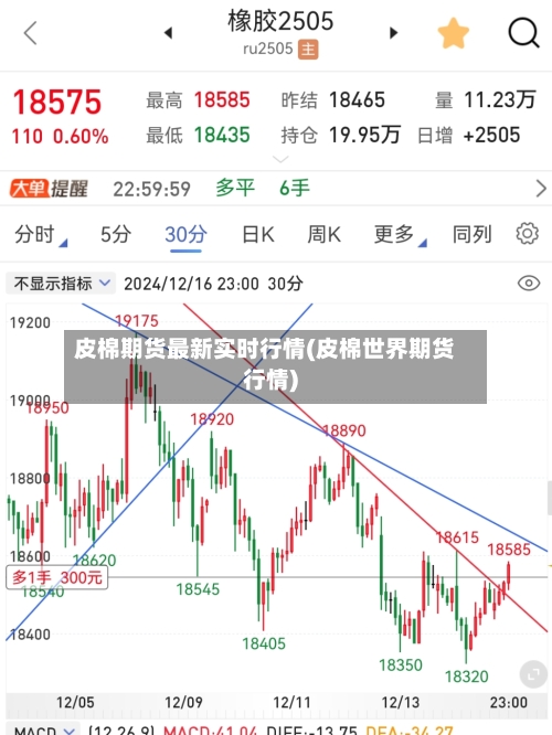 皮棉期货最新实时行情(皮棉世界期货行情)-第3张图片