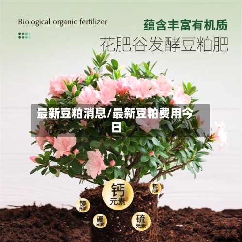 最新豆粕消息/最新豆粕费用今日-第2张图片