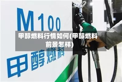 甲醇燃料行情如何(甲醇燃料前景怎样)-第3张图片