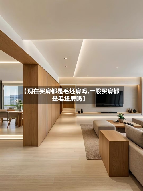 【现在买房都是毛坯房吗,一般买房都是毛坯房吗】-第2张图片