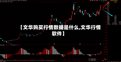 【文华购买行情数据是什么,文华行情软件】-第1张图片